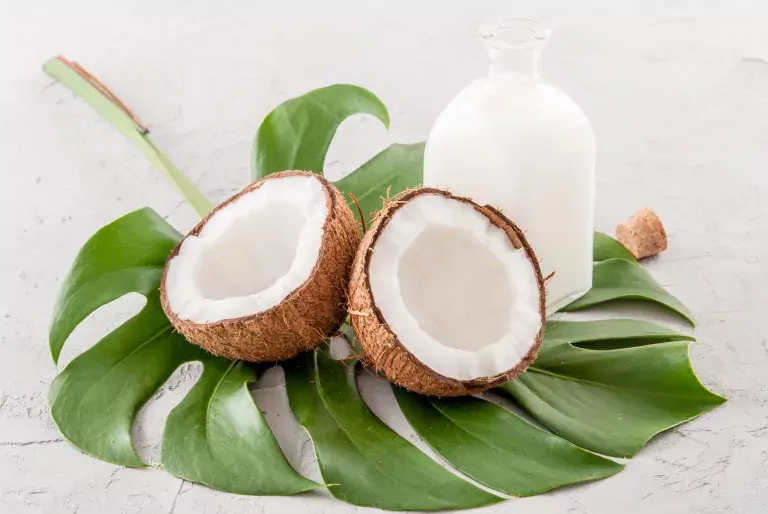 Lire la suite à propos de l’article Vous utilisez l’huile de coco quotidiennement ? Voici pourquoi vous devriez réfléchir à deux fois