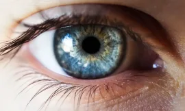 Bon Plan : Tout savoir sur les lentilles de contact progressives en 2023 – Avantages, inconvénients et astuces d’utilisation !