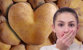 Découvrez les 3 SECRETS pour garder vos pommes de terre fraîches plus longtemps !