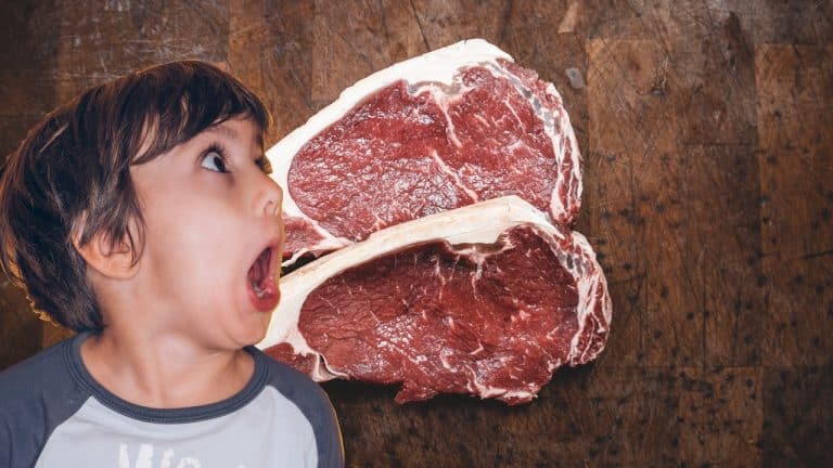 Lire la suite à propos de l’article La viande cellulaire débarque-t-elle vraiment dans nos cuisines ?